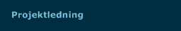Projektledning 