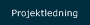 Projektledning