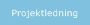 Projektledning